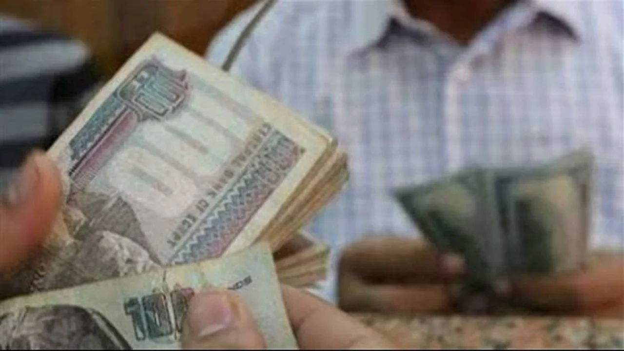 زيادة الرواتب.. ضوابط الاستحقاق وطرق الاستعلام عن قيمتها بالرقم القومي